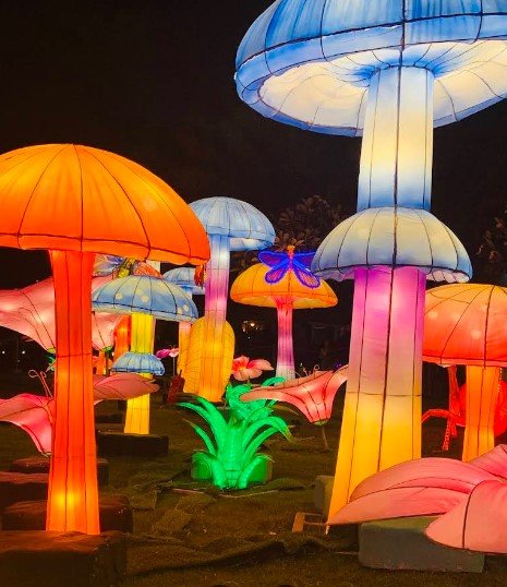 تُعد الصور خير دليل على مدى جمال المكان وتنظيمه. كما يمكن للزوار التقاط الصور التذكارية في أماكن متعددة 